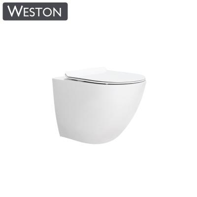 China Custom Hidden Or Standard Professional OEM Design Vortex Tank Wall Hang Toilet Hotel for sale