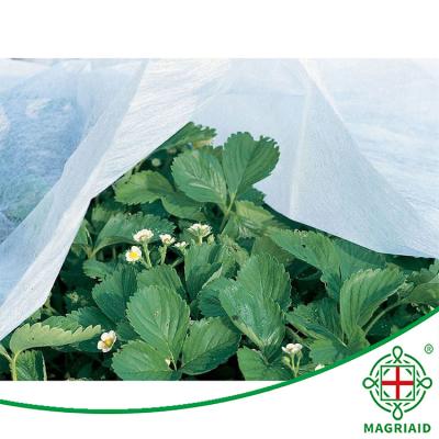 China Xinyuan Waterproof Factory Directly Sell Agriculture Breathable Fabric For Greenhouse Garden Trees Vegetables Non Woven Fabric for sale