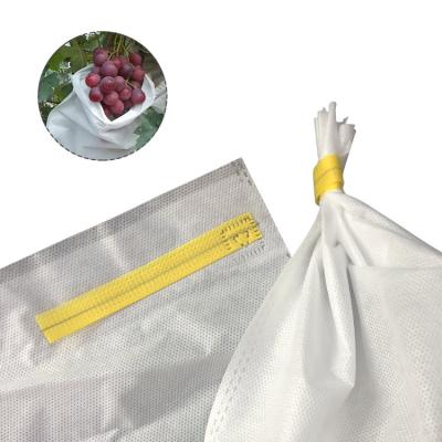 China Waterproof Nonwoven Grape Protection Fruit Bags Grapes Protection Nonwoven Agriculture Protective Bag for sale