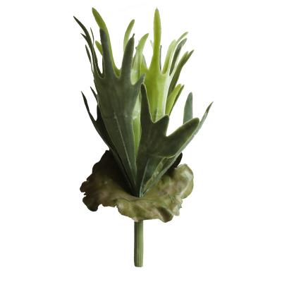 China Environmental Friendly Artificial Staghorn Fern Hanging Plants / Artificial Succulent Plants For Photography Plant Wall for sale