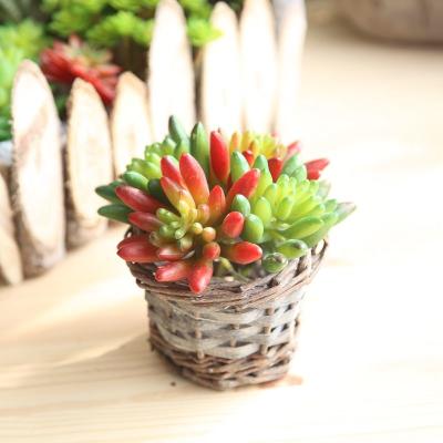 China Medium Size Environmental Friendly Artificial Flowers Home Plant / Mini Artificial Flowers Plants for sale