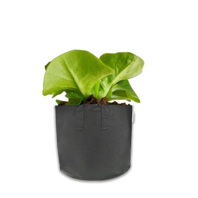 China All Plants In Stock 3 Gallon Garden Cloth Plant Grow Bags Sprinkle Growing Bag Customized Plastic Growing Bag Strawberry Plant Potato for sale