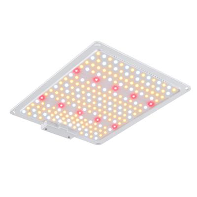 China Seed Seed Planting JAHYUU Custom Full Spectrum Indoor Led Quantum 220W 440W 660W Grow Light Led Lamp Grow Board for sale