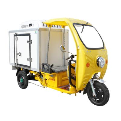 China Adult Three Wheel Electric Tricycles Refrigerator Supermarkets Freezer Tricycle Electric Cooling Scooter for sale