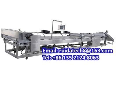 China Automatic Food Forming Machine, Peanut Praline/ Peanut Brittle/ Peanut Candy Bar Forming Cutting Machine for sale