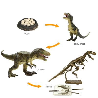 China New Class of 2022 Natural Class Teach Tool Dig It T-rex Skeleton Fossil Model Plastic Dinosaur Toy for Kids Educational for sale