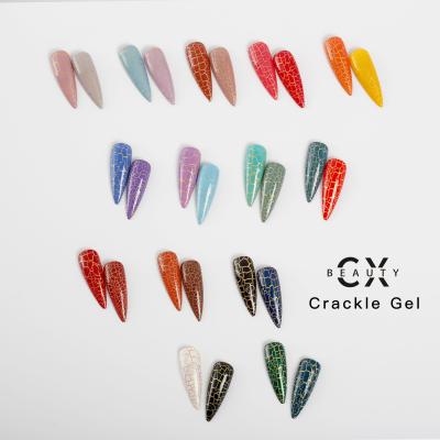 China Best nail art Caixuan gel nail art designs/home gel nail/brand gel nail for sale