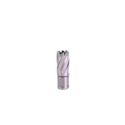 China Metal Drilling OEM Customization Cutter Core Drill Bit HSS Annular Annular Cutter With Weldon Shank for sale