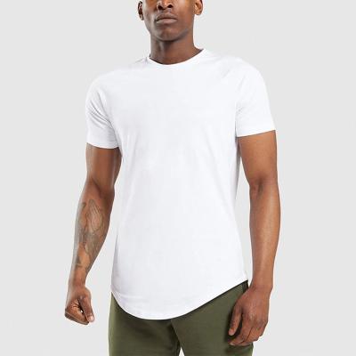 China Wholesale Curved Bottom Mens Breathable T Shirts Breathable Sleeve 95% Cotton 5%spandex T-shirts Quality Raglan Muscle Fitted Running T-shirt for sale