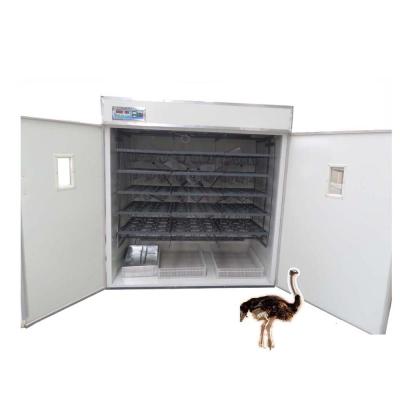 China Full automatically temperature&humidity controlling 168 ostrich egg incubator HJ-I18 for sale