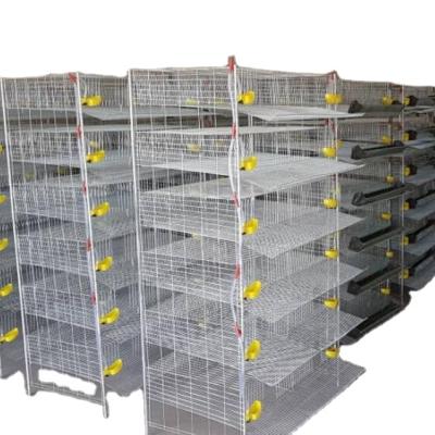 China Advanced automatic viable quail layer cages for 300 quail /quail cages for sale HJ-QC400A for sale