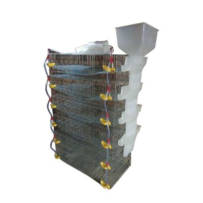 China Automatic steel quail feeding cage deliver to your door! for sale