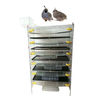 China Latest sustainable design! automatic galvanized steel quail cage for sale