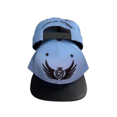 China JOINT Logo Adjustable Hat Vintage Embroidery Hot Custom Snap Back Hat For Unisex for sale