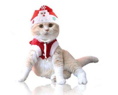 China Wholesale Custom Party Logo Cotton Christmas Cute Santa Gift Pet Strap Hat With Adjustable Rope for sale