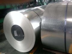 GI Steel Sheet/Coil