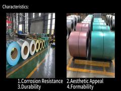 PPGL Steel Coil