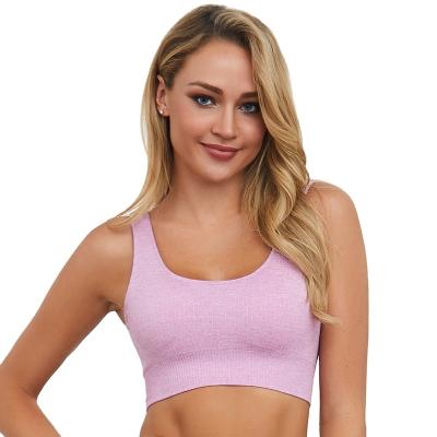 China Sweat-Wicking Best Sell Beautiful Quick Dry Nylon For Women Fitness Breast Form Bra Lace Bra N Things for sale