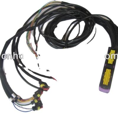 China Car Parts ECU Wire Harness CNG/LPG Kits for sale