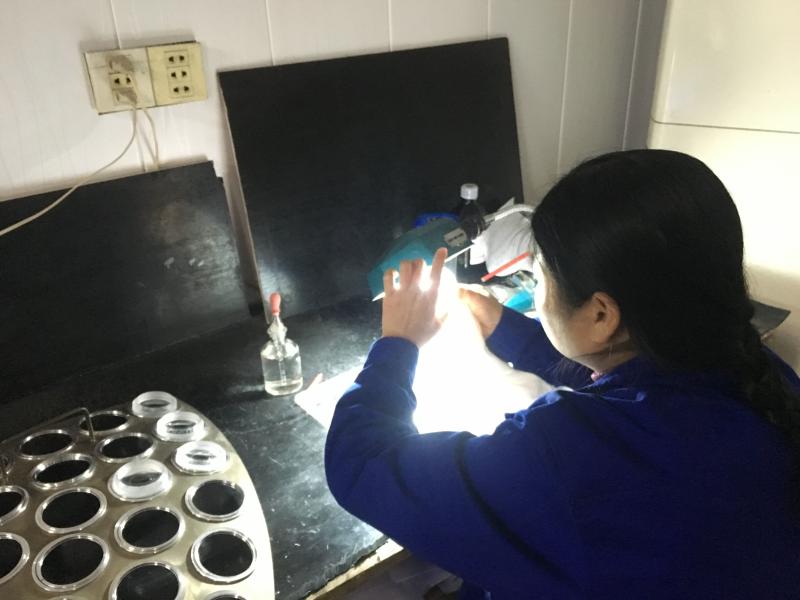 Fornitore cinese verificato - Jiangsu Linxing Optics Co., Ltd