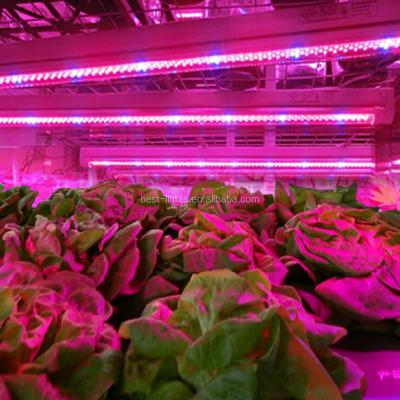 China 5050 5:1 4:1 DC 12V PCB+LED Red/Blue SMD Hydroponic Plant Led Grow Strip Lights With 3 Years Warranty for sale