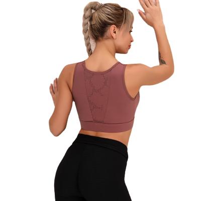 China New Design Breathable Sports Shirt Women's Yoga Seamless Leggings Gym Tops for sale