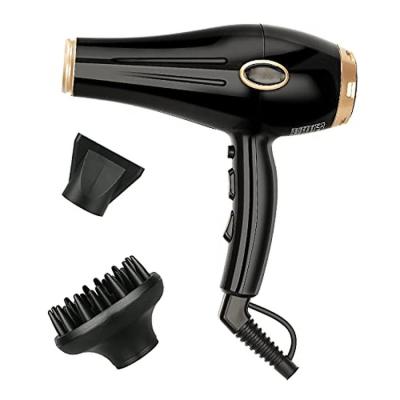 China Professional Dc Hair Salon Fan Induction Function Ionic Hair Dryer Manufacturer for sale