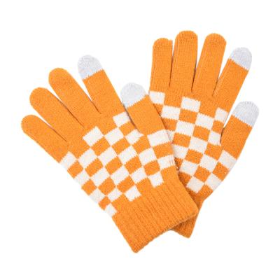 China AGRADECIDO Jacquard Winter Knitted Magic Glove Women Touch Screen Gloves Gloves for sale