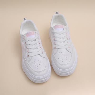 China Latest fashion trend 509 new high fashion thick bottom dad sneakers for women for sale