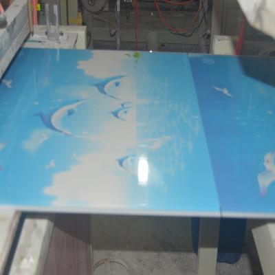 China New Designs Perforated Ceilings PVC Ceiling Panel Sky Blue PVC Ceiling Panel for sale