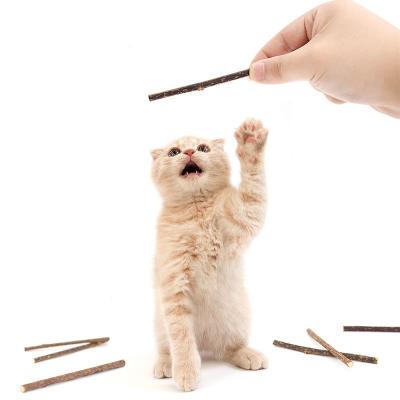 China Viable cat kitten toy matatabi stick for kitten chew actinidia polygama for cat cleaning teeth pure natural silvervine for sale