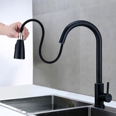 China Pull Out Spray Kitchen Cold And Hot Mixed Faucet To Pull Out Black 304 Stainless Steel Sink Faucet for sale