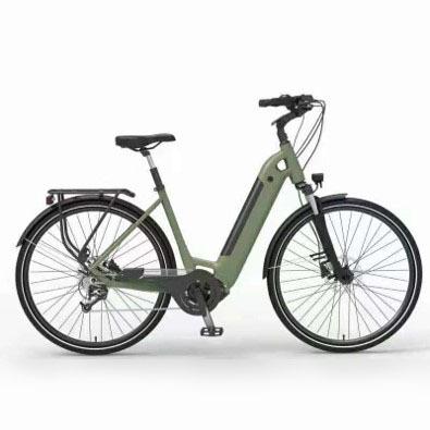 China Best 750W 29inch Mid Drive Mountain Aluminum Alloy Other City Electric Bike For Adults for sale