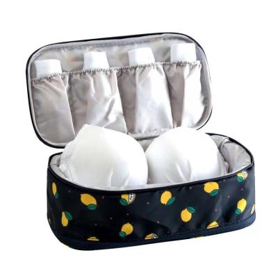 China Multifunctional Portable Viable Outdoor Travel Briefs Underwear Matching Underwear Storage Bag Organizator Bra for sale