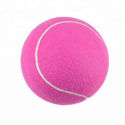 China Pet Toy 5 Inch Big Size Tennis Ball Inflatable Pet Toy for sale