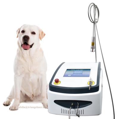 China Best Wholesale Veterinary Medical Equipment Rehabilitation Laser Vascular Veterinary Therapy/Health Removal/High Power 980nm Laser Therapy Sale Nail Fungus/EVLT/Lipolysis 2020 for sale