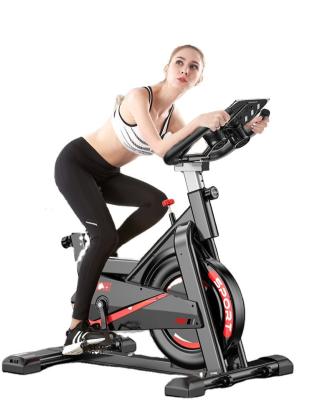 China Universal Professional Indoor Flying Gym Cardio Commercial Magnetic Spinning Spinning Workout Bike With Screen App for sale