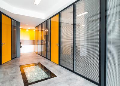 China Office 2 Hour Fire Rated Glass Partition 6mm 12mm thick Steel Frame Glass Partition for sale