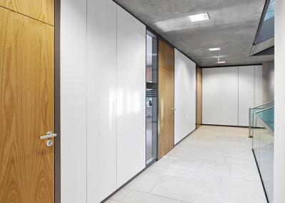 中国 Solid Partition Wall System  Steel Panel With Aluminum Frame Durable Solid Office Barriers for Long-Lasting Use 販売のため