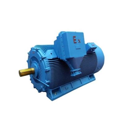 China YB AC 6kv High Voltage Motor Totally Enclosed Ex Proof for sale