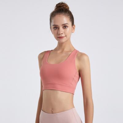 China Breathable Low Price Knitted Anti-Static Gym Sports Bra For Adult for sale