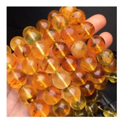 China Factory Outlet Natural Polishing Natural Each Of Them Contains Worms Collection Insect Level Amber for sale