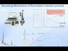 High Sensitivity Raman Spectroscopy Device 785nm Laser Deep Cooling