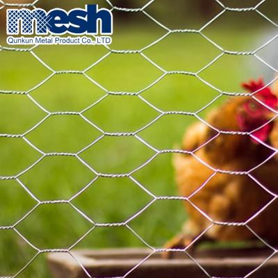 China China Lowest Price Anti-Corrosion Chicken Wire Mesh Hexagonal Wire Mesh for sale