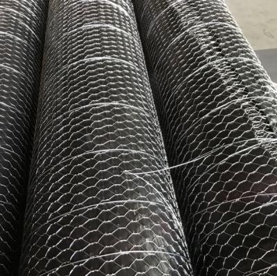 China Straight Twist Galvanized Hexagonal Wire Netting Chicken Wire Mesh 25mm Mesh Size for sale