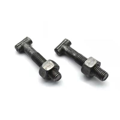 China Construction T Shaped Fastener Stainless Steel Bolts Screw Bolt Steel Pipe Scaffolding Special T-bolts for sale