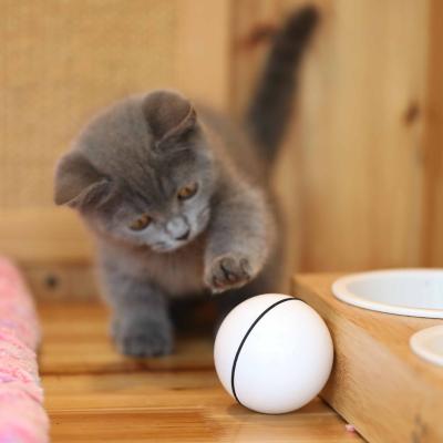 China Viable in Pet Cat Toy LED Glow Cat Running Ball USB Charging Smart Cat Toy Electric Rolling Ball for sale