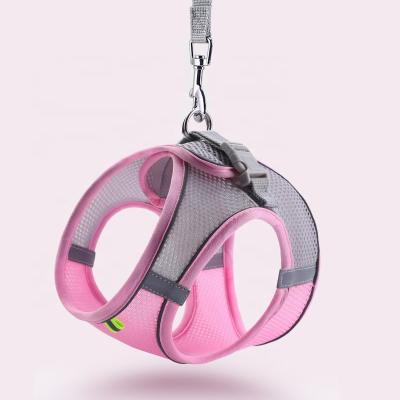 China Lovely Premium Adjustable Buckle Escape Proof Walking Dog Viable Invest No Pull Pet Harness And Leash Set for sale