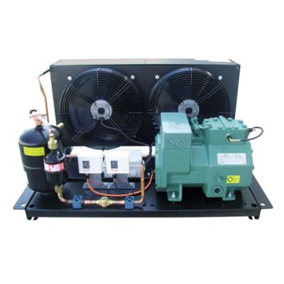 China Refrigeration Parts Refrigeration Compressor Air Cooled Compressor Sealed Condensing Unit for sale