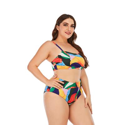 China Fat plus size woman swimwear bikini plus size swimwear bikini for sale